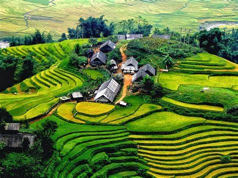 4D3N Hanoi + Sapa