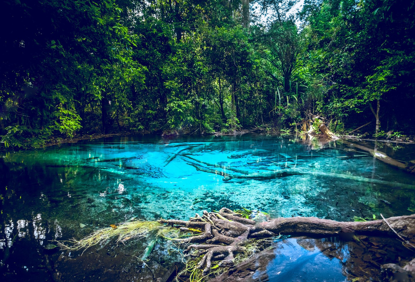 4D3N Romantic KRABI