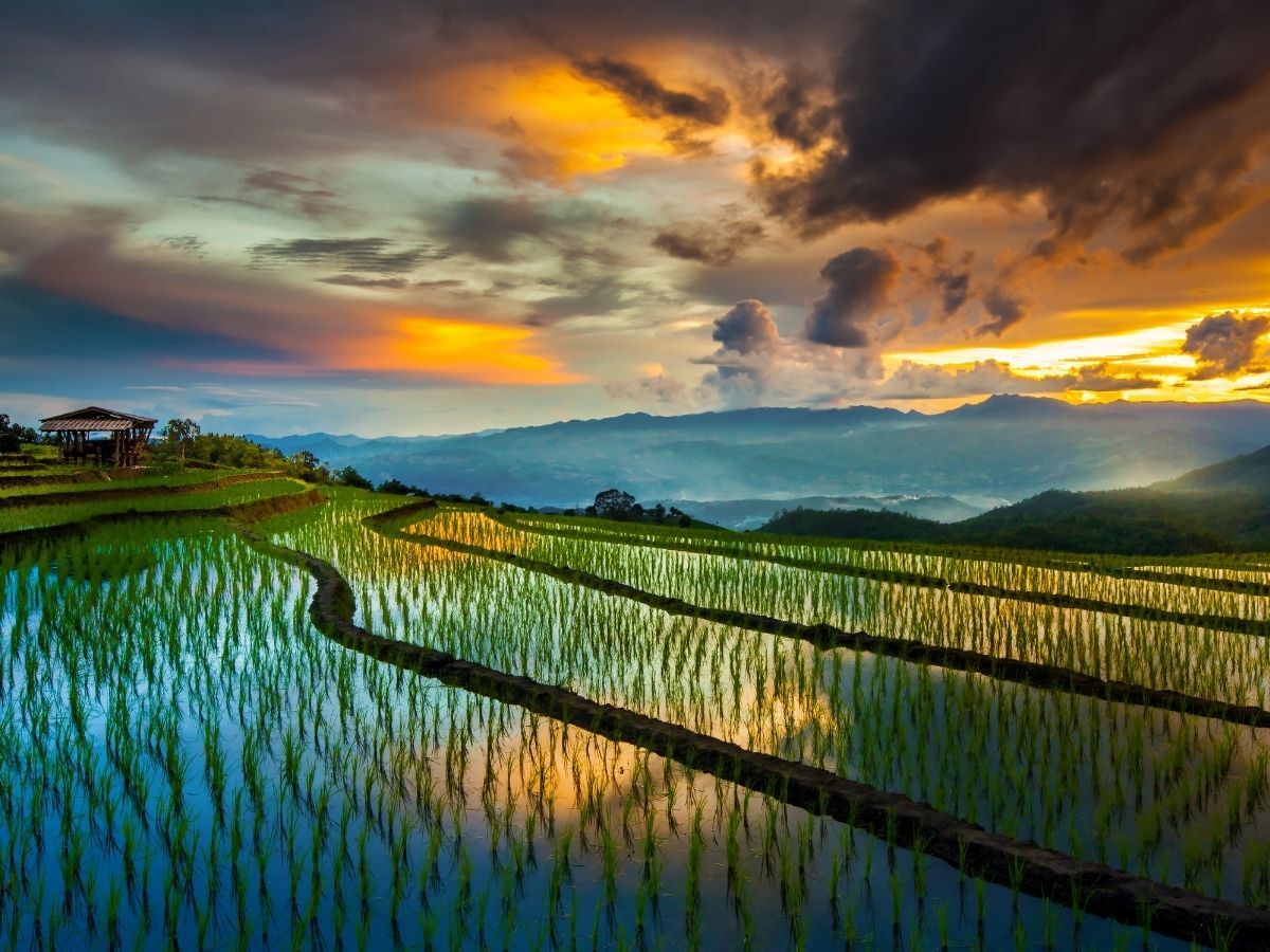 6D5N Chiangmai & Pai Overnight